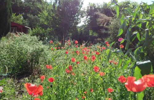 Apartment Schmetterling by Interhome - Foto 35