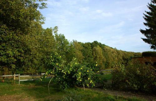Ferienwohnung Hirschgrundblick - Foto 24