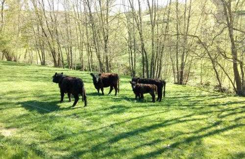 Relaxen im Taubertal - Foto 16