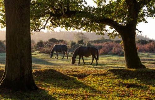 Modern Coastal Retreat, HotTub, Fire Pit, Pets welcome - Photo 34