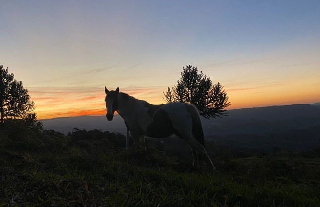 Rancho Sol Poente - Rancho Queimado - Foto 17