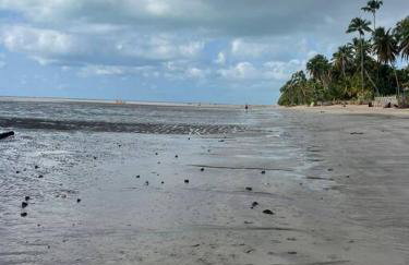 Mani Milagres Studio - Gamboa Patacho - Foto 38