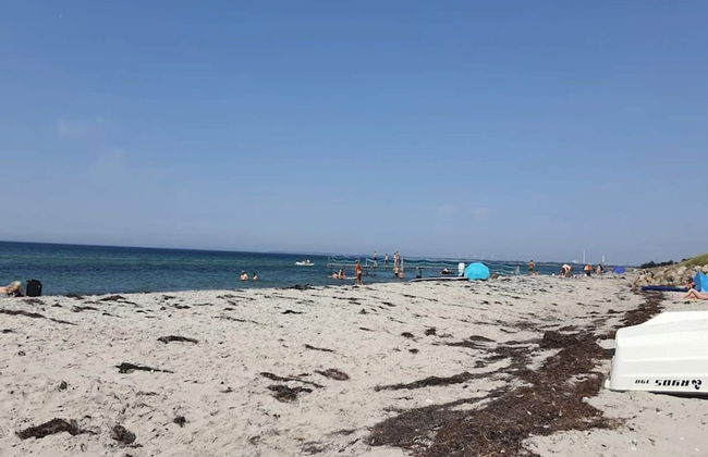 4 Person Holiday Home in Store Fuglede - Foto 49