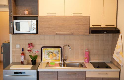 Apartments Ivica Krk Island - Foto 56