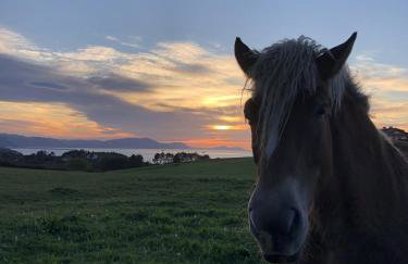 El Tejado de Santa Ana - Foto 35
