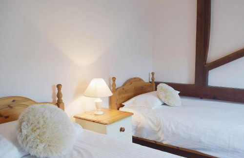 Coriander - E4323 - Foto 10