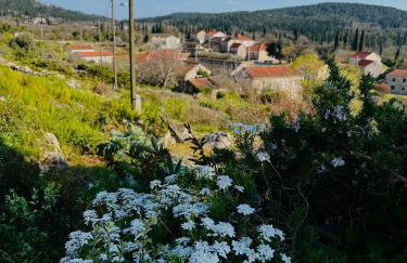 Country House Bakicevo - Photo 36