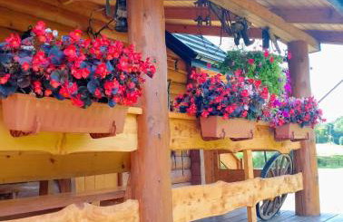 Siedlisko Sielska Dolina Nad Stawem luksusowy domek całoroczny z klimatyzacją - Foto 30