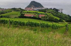 BALENTZIAGA Getaria - Foto 33