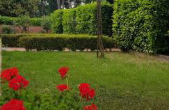 La Casa di Gigliola - Foto 13