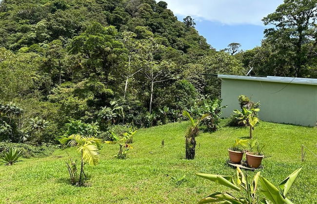 Selvática del Toro - Foto 52