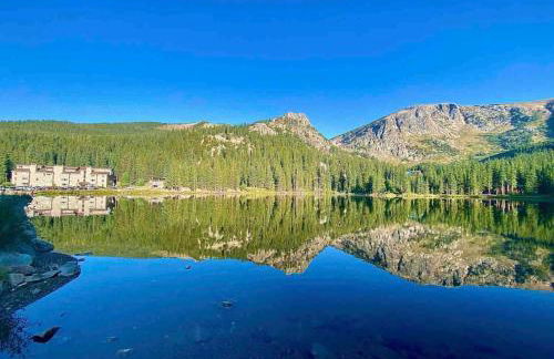 Blue Owl - Tree House Views! Couples Getaway! - Foto 32