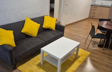 APT 2 Acollidor al Centre històric de Vic APTGARBI - Foto 17