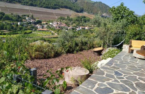 New Honey House, Serra do Marão Ansiães-Amarante - Foto 26