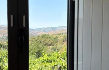 Quinta do Passal - Foto 11