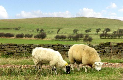 Street House Farm Cottage - Foto 27