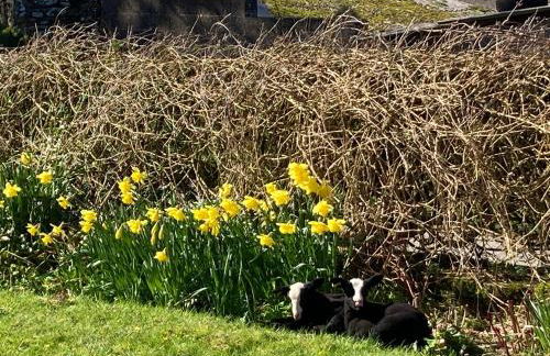 Penny End, Mosser - Western Lakes and great walks - Foto 14