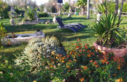 Agriturismo Masseria Pallanzano CON PISCINA - Foto 39