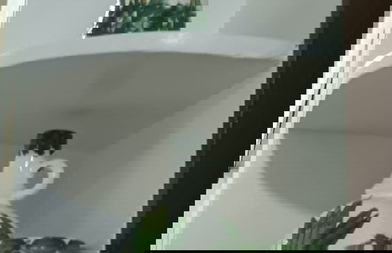 Impeccable 1-bed Studio in Paranaque City - Foto 20