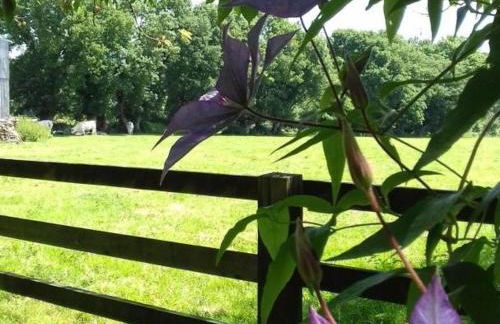 Maison authentique en Normandie - FR-1-497-160 - Foto 14