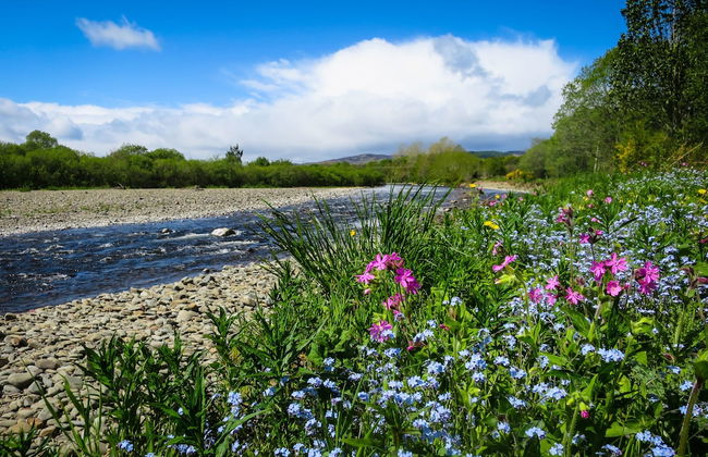 The Five Turrets: Stay in Scotland in Style in a Historic Four-bed Holiday Home - Foto 52