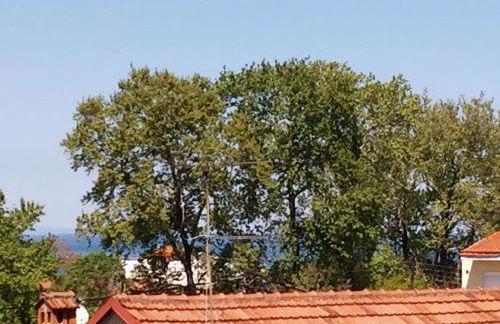 Vaya Apartments & Studios - Foto 36