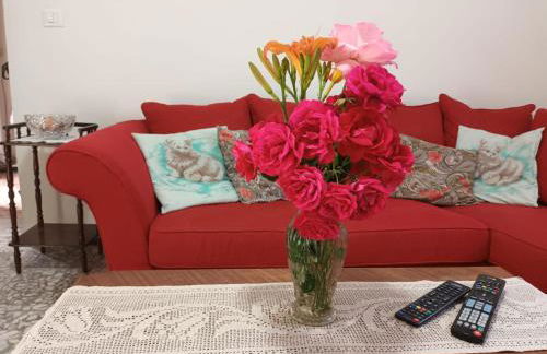 CASOLARE TROMBACCO - Foto 12