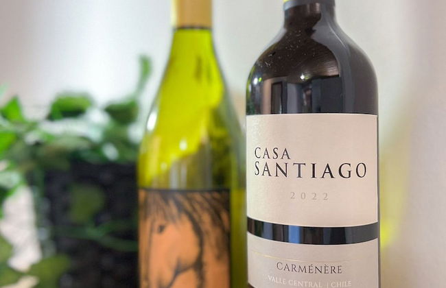 Pousada Solar dos Lírios - Praia do Rosa - Photo 76