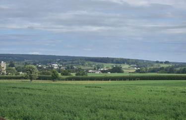 Amish Country Stay w/ Buggy Ride - Foto 9