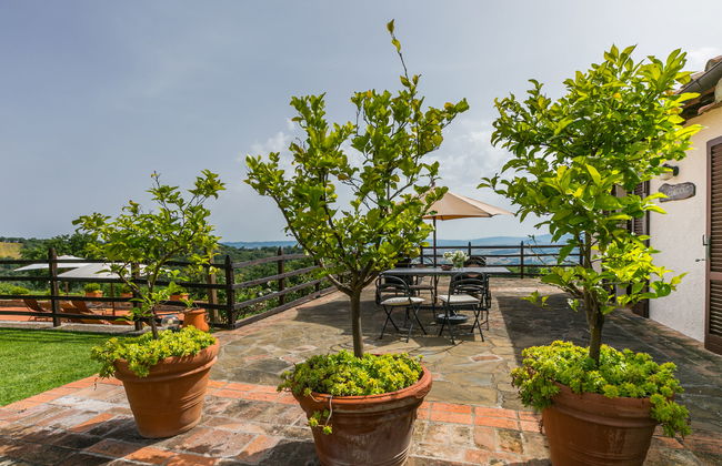 Ciliegiolo - Foto 28