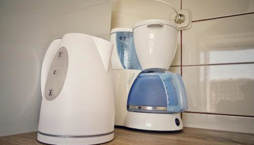 Ruzicin dvor - Photo 5