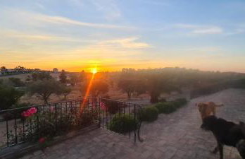 Casas do Monte - Foto 29