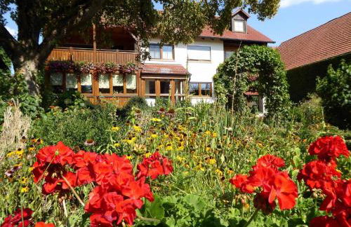 Ferienhof Selz - Foto 15