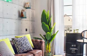 Cozy Bright - 1Bedroom 1 Bathroom - La Latina - Foto 1