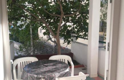 Apartment Dragovic - Photo 8