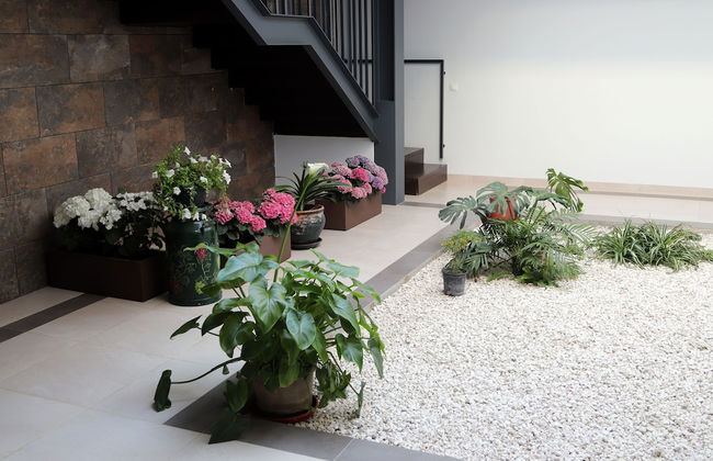 El Sueño de San Fernando - Foto 52