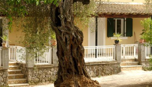 Kidonakia Apartments - Foto 3