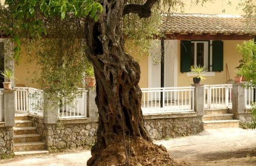 Kidonakia Apartments - Foto 3