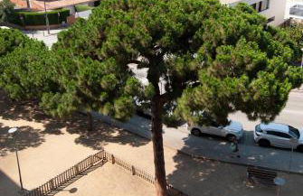 Apartment near the beach and Port Marina of Premia - Foto 56