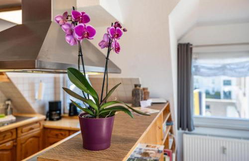 Schwarzwaldnest - Foto 5