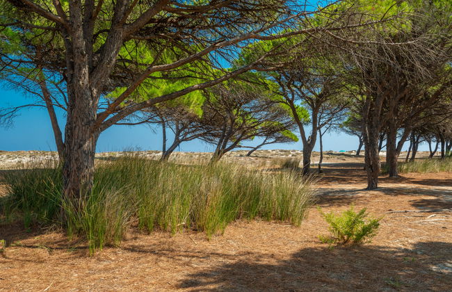 Le Dimore di Budoni - Foto 16