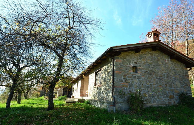 Secluded Chalet With Pool - Photo 30