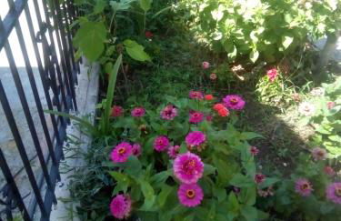 Villa Angela, Traditional Villa in the village - Foto 29