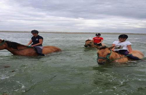 Charming Chalet with Swimming Pool in Quend - Foto 39