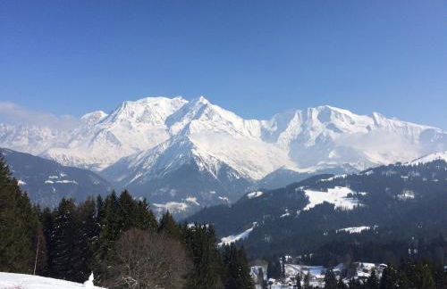 Appartement T2+cabine indépendante au départ des télécabines Saint-Gervais/Bettex/Mont d’Arbois - Foto 40