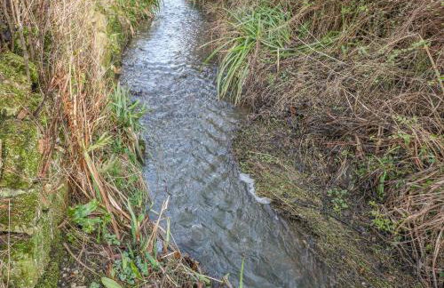 Brinks View Cottage - Foto 20