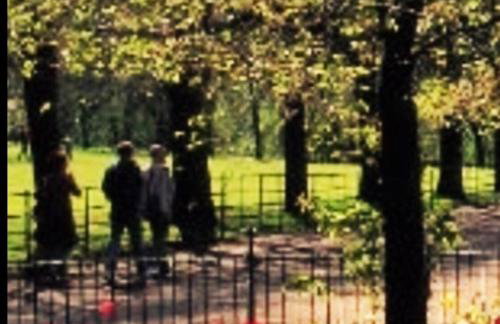 Perfect In The Park - Foto 40