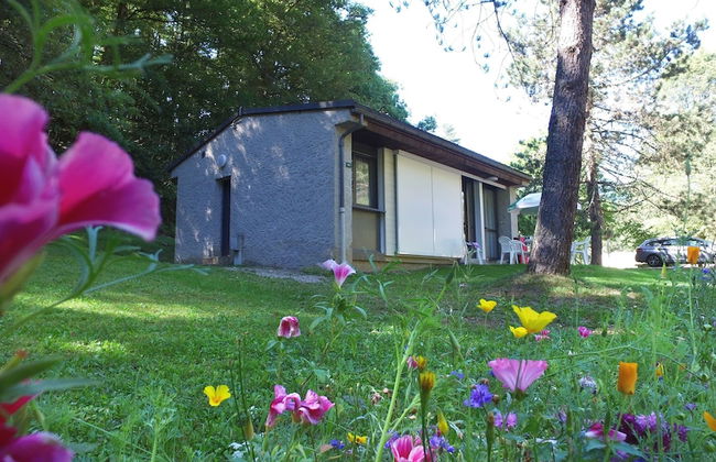 VVF Cantal Champs-sur-Tarentaine - Photo 32