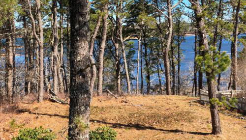 Blackfish Bungalow - Foto 3