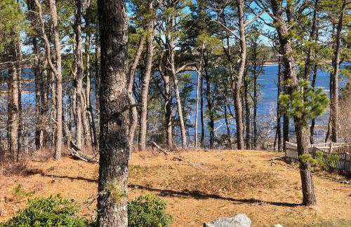 Blackfish Bungalow - Foto 3